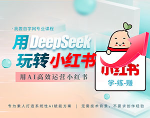 DeepSeekD(zhun)Сt