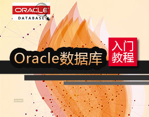 Oracle(sh)(j)T̳