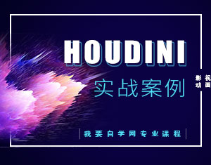 Houdini(sh)(zhn)̳