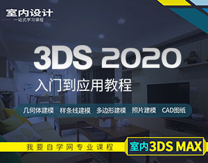 3DS 2020Tý̳